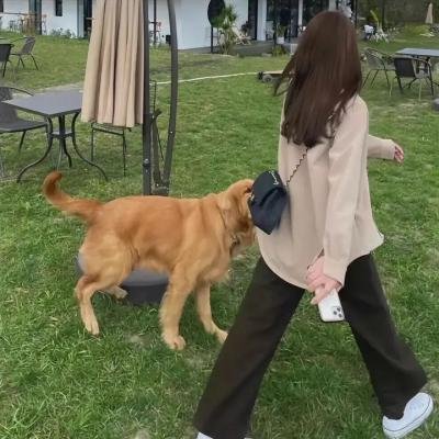 惊聚万圣节